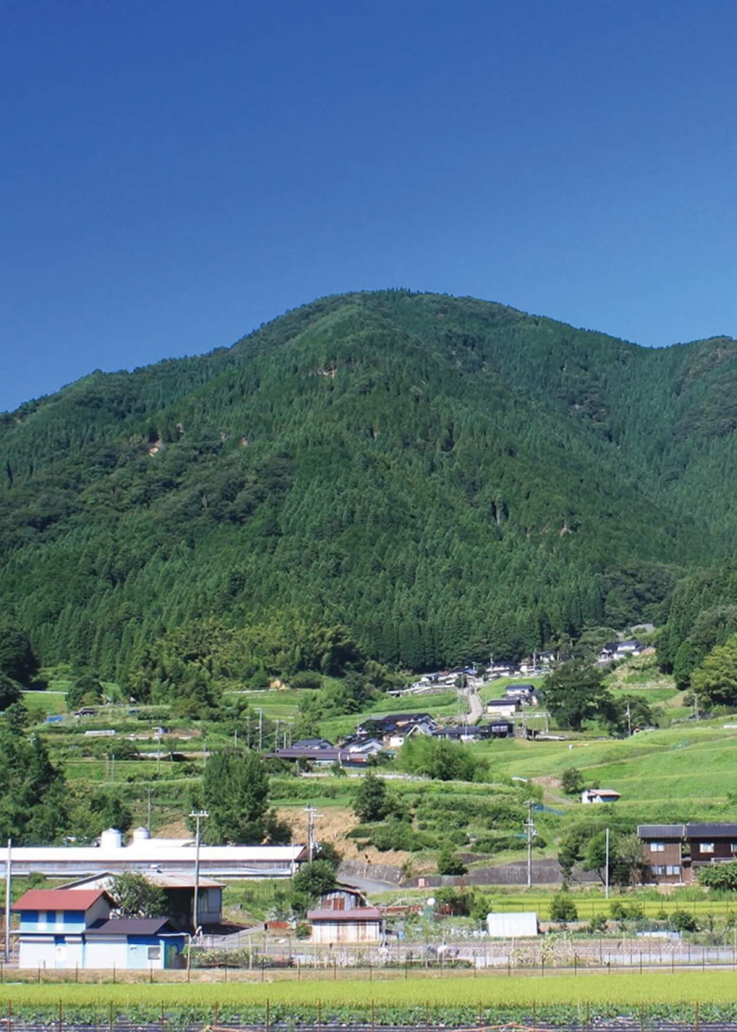 公益財団法人 医療文化経済グローカル研究所 | 健康加齢（ヘルシー